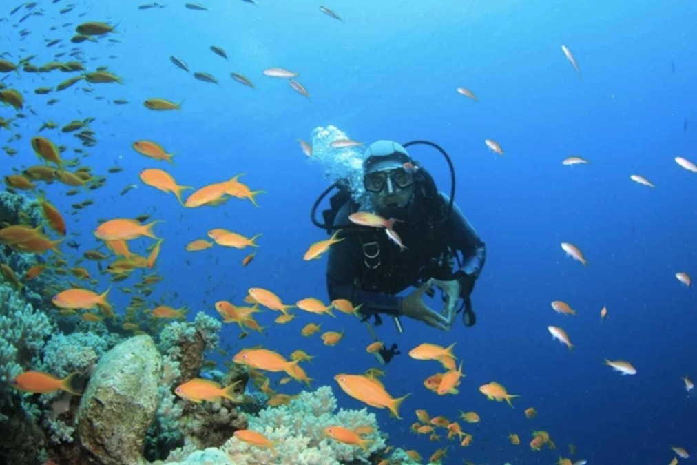 Website - News and Insights-8-Measuring Ecosystem Health Through Bioassessment