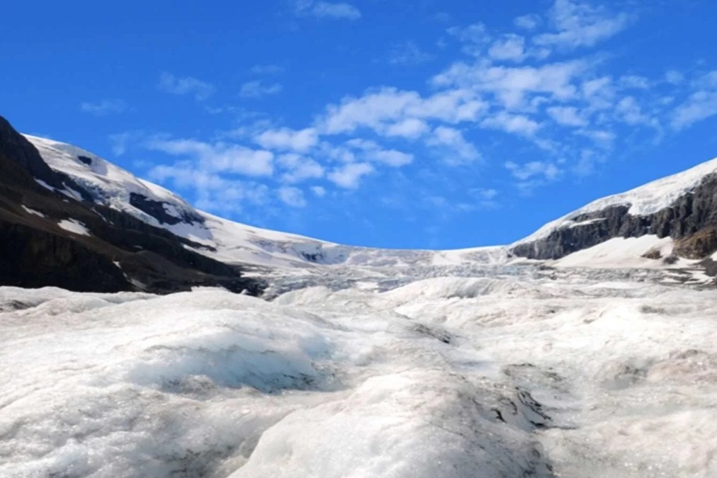 Website - News and Insights-9-Temperate Rainforest