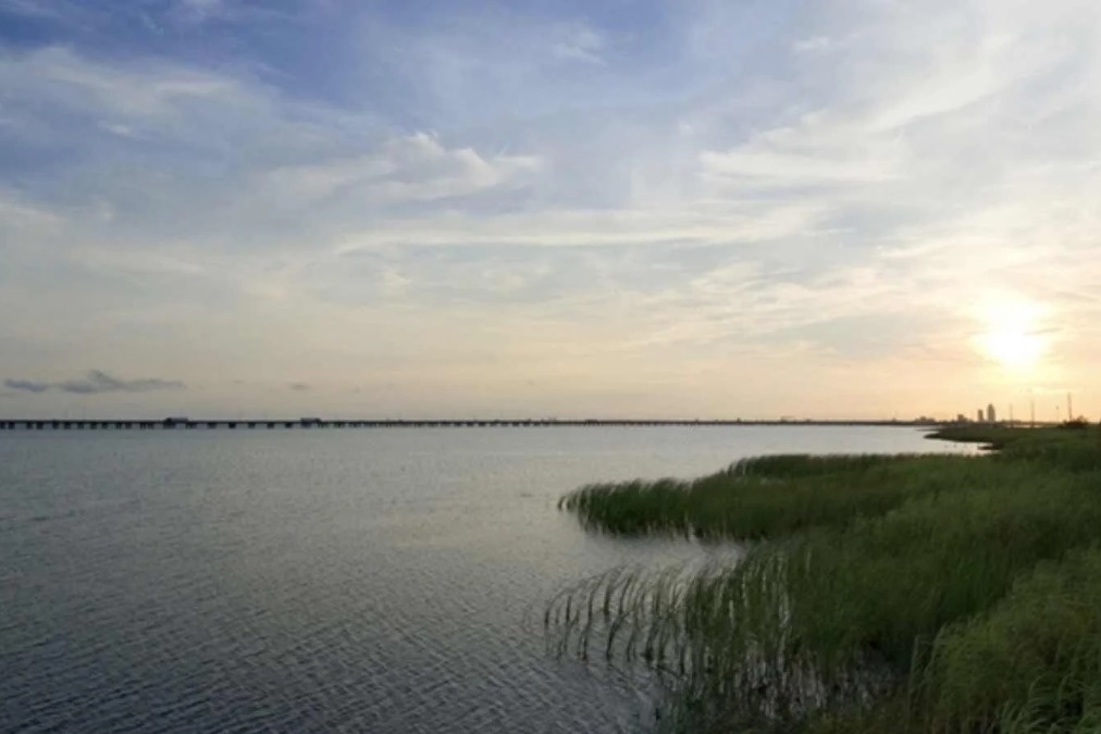 Website - rollover images-22-Gulf Dead Zone