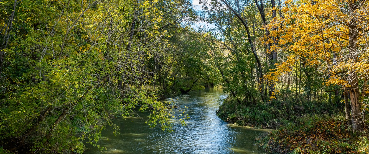 Driftwood River Watershed Diagnostic Study