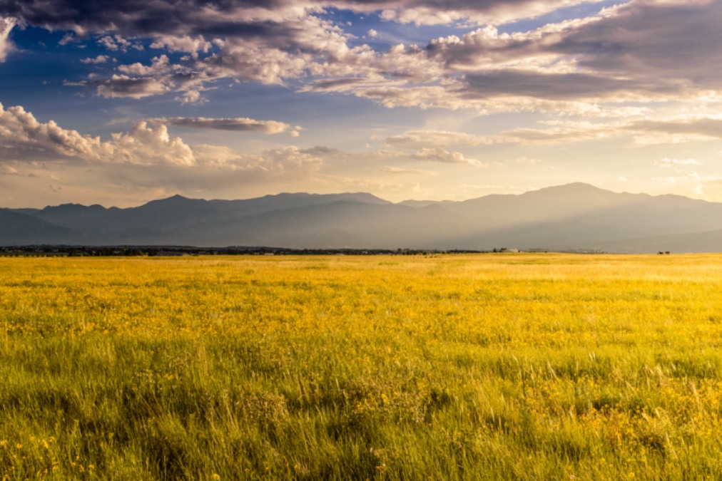 Website - News and Insights-13-Colorado ASR- Closing the Gap