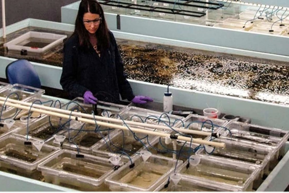 Website - News and Insights-12-How To Select A Toxicology Laboratory